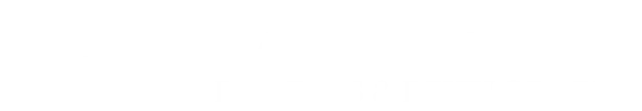 logo light